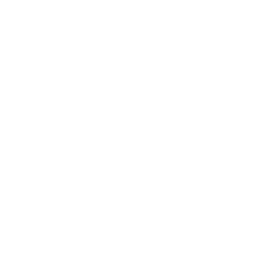 Logo completo